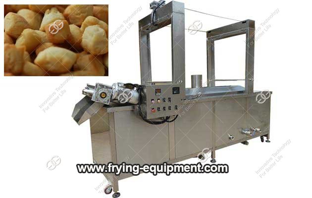 Continuous Frying Machine Factory