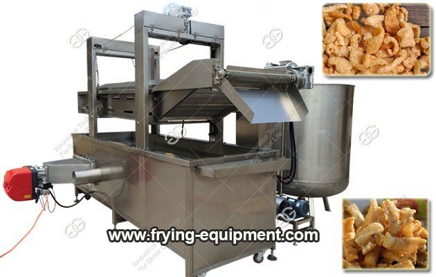 Continuous Frying Machine