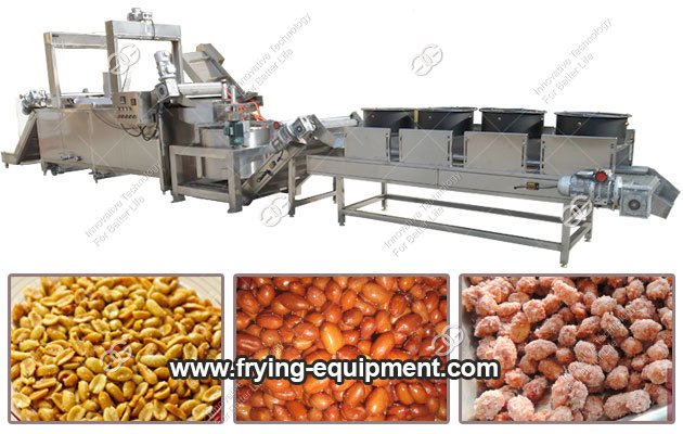 Continuous Nuts Frying Line