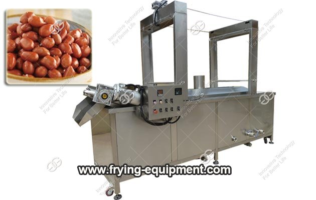 Continuous Groundnut Frying Machine