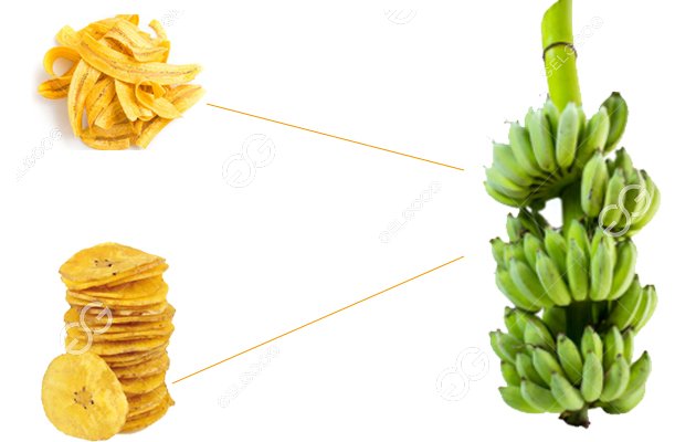 Plantain Chips Business